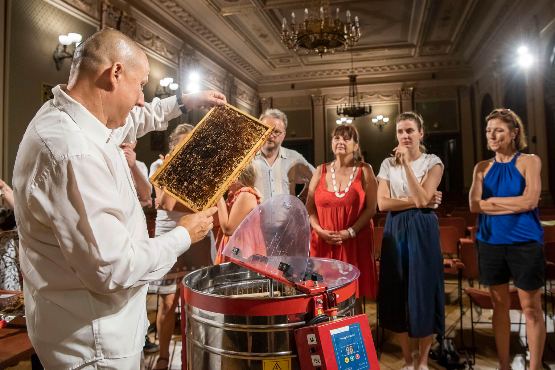 Ilustrační obrázek článku 'Traditional honey harvest in the Rudolfinum&nbsp;'